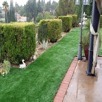 Artificial Lawn McNeal, Arizona Landscape Design, Backyard Designs