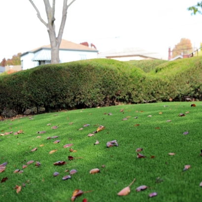 Artificial Turf Cost Casa Grande, Arizona Landscape Ideas, Front Yard Ideas