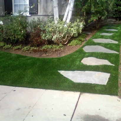 Artificial Turf Cost LeChee, Arizona Lawns, Front Yard