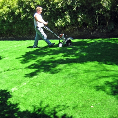 Artificial Turf Cost Washington Park, Arizona City Landscape, Backyard Designs