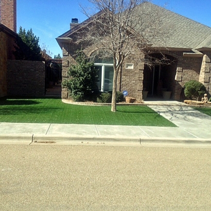 Artificial Turf Holbrook, Arizona Landscape Design, Front Yard Ideas