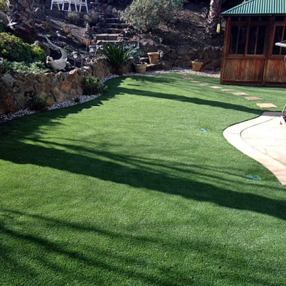 Artificial Turf Rye, Arizona Rooftop, Backyard Garden Ideas