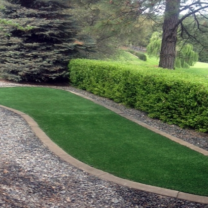 Best Artificial Grass Rillito, Arizona Landscape Photos