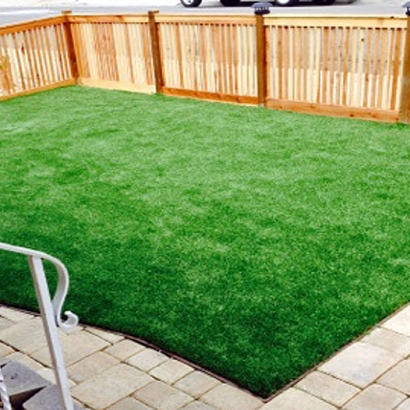 Best Artificial Grass Willcox, Arizona Lawn And Garden, Backyard Landscape Ideas