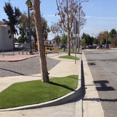 Fake Grass Carpet Mammoth, Arizona Backyard Deck Ideas, Commercial Landscape