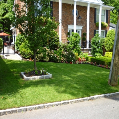 Fake Grass Carpet Village of Oak Creek (Big Park), Arizona Home And Garden, Landscaping Ideas For Front Yard