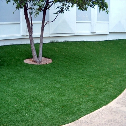 Fake Grass Dewey-Humboldt, Arizona Rooftop, Commercial Landscape