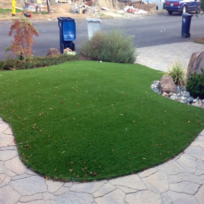 Fake Grass Dragoon, Arizona City Landscape