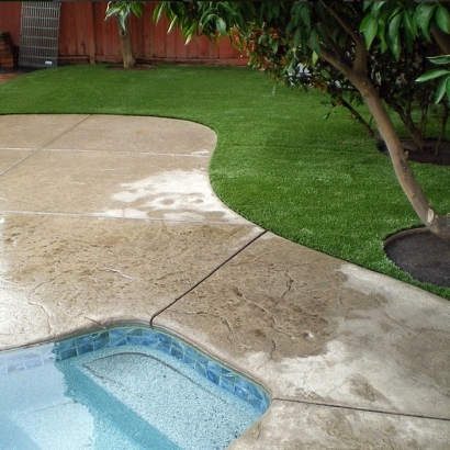 Fake Grass Miami, Arizona Roof Top, Backyard Landscaping