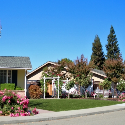 Fake Lawn Anthem, Arizona Gardeners, Front Yard Design