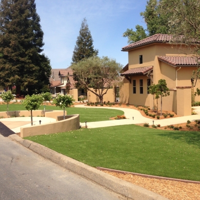 Fake Lawn Carefree, Arizona Landscaping Business, Front Yard Landscaping