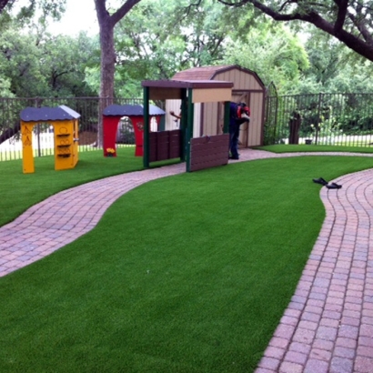 Fake Lawn Pinal, Arizona Roof Top, Commercial Landscape