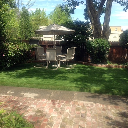 Fake Lawn Sahuarita, Arizona Lawns, Backyard Design