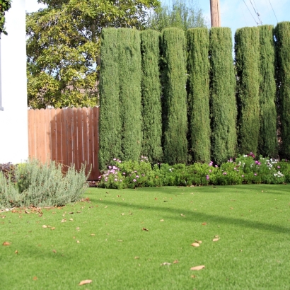 Fake Turf Bowie, Arizona Landscape Photos, Front Yard Landscaping Ideas