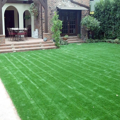 Fake Turf Christopher Creek, Arizona Landscape Design, Front Yard Ideas