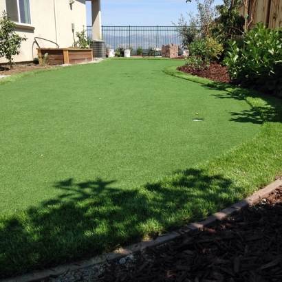 Fake Turf Gila Crossing, Arizona Landscape Ideas, Backyard Design