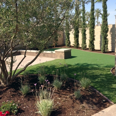 Fake Turf Gilbert, Arizona Landscaping, Backyard Design