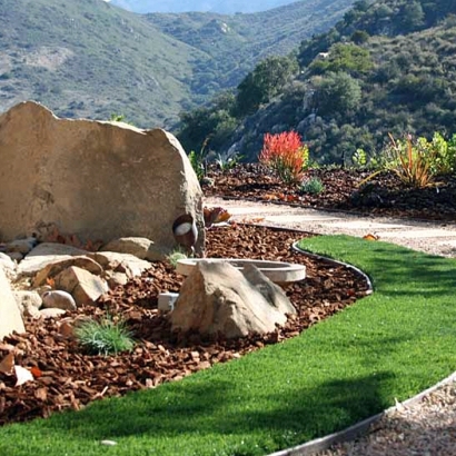 Fake Turf Goodyear, Arizona Landscaping, Small Front Yard Landscaping