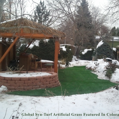 Faux Grass Corona de Tucson, Arizona Landscape Design, Backyard Designs