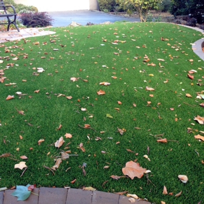 Grass Carpet Red Rock, Arizona Landscape Photos, Front Yard