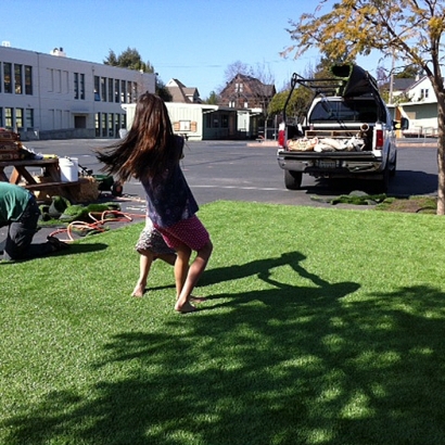 Grass Installation Congress, Arizona Garden Ideas, Commercial Landscape