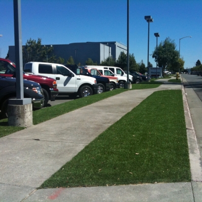 Grass Turf Kino Springs, Arizona Roof Top, Commercial Landscape