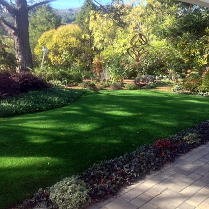 Green Lawn Catalina Foothills, Arizona Landscape Design, Backyard Landscaping Ideas