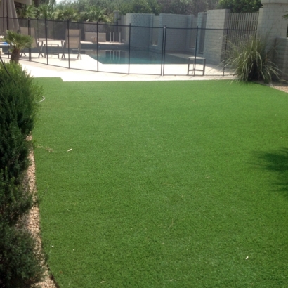 Green Lawn Tucson, Arizona Landscape Ideas, Backyard Landscape Ideas