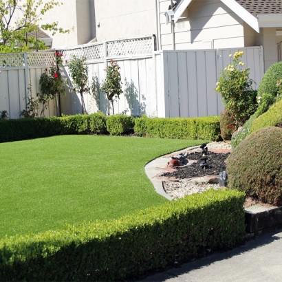 Lawn Services Sierra Vista, Arizona Landscaping, Front Yard Landscape Ideas