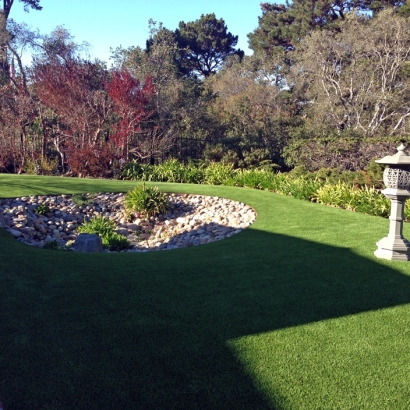 Plastic Grass Benson, Arizona Landscape Rock, Backyard Landscaping Ideas