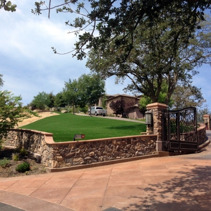 Plastic Grass Sun City West, Arizona Landscape Ideas, Small Front Yard Landscaping