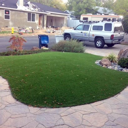 Synthetic Grass Cost Big Park, Arizona Gardeners, Front Yard Ideas