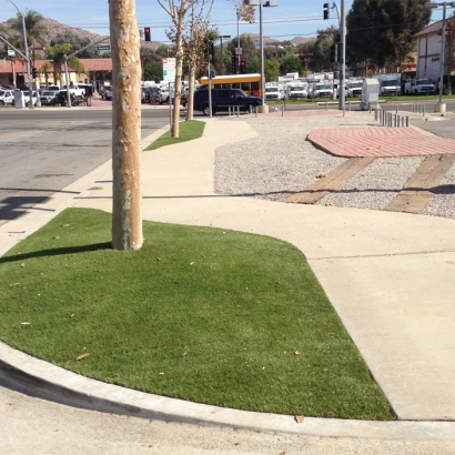 Synthetic Grass Cost Woodruff, Arizona Landscaping, Commercial Landscape