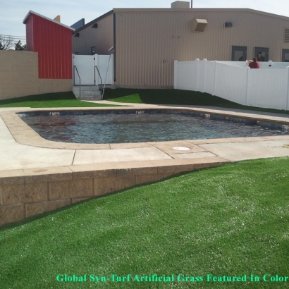 Synthetic Lawn Catalina, Arizona Roof Top, Above Ground Swimming Pool