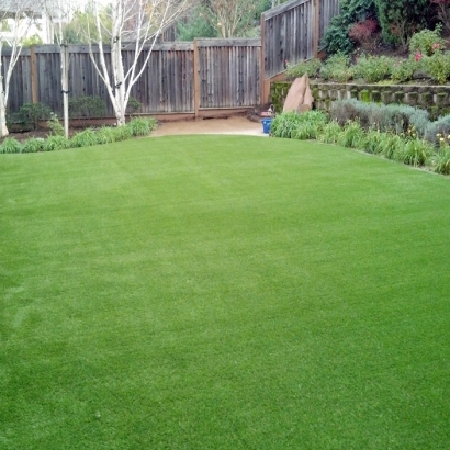 Synthetic Turf Supplier Chino Valley, Arizona Landscape Ideas, Backyard Designs