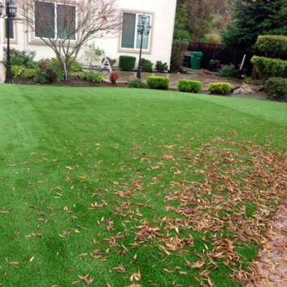 Synthetic Turf Supplier Nelson, Arizona Lawn And Landscape, Backyard Ideas