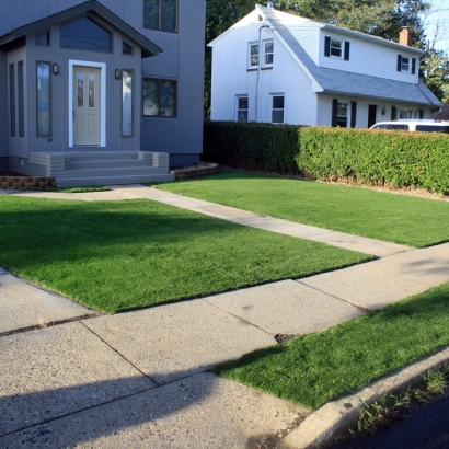 Synthetic Turf Supplier South Tucson, Arizona Landscaping, Landscaping Ideas For Front Yard