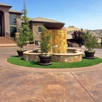 Synthetic Turf Wintersburg, Arizona Roof Top, Front Yard Landscaping Ideas