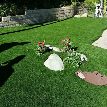 Turf Grass Bowie, Arizona Landscaping Business, Front Yard Landscaping