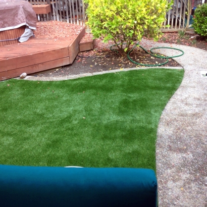 Turf Grass Cowlic, Arizona Backyard Deck Ideas, Backyard Designs