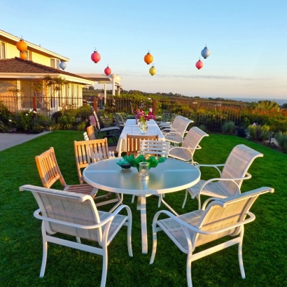 Turf Grass Sonoita, Arizona Rooftop, Backyard Ideas