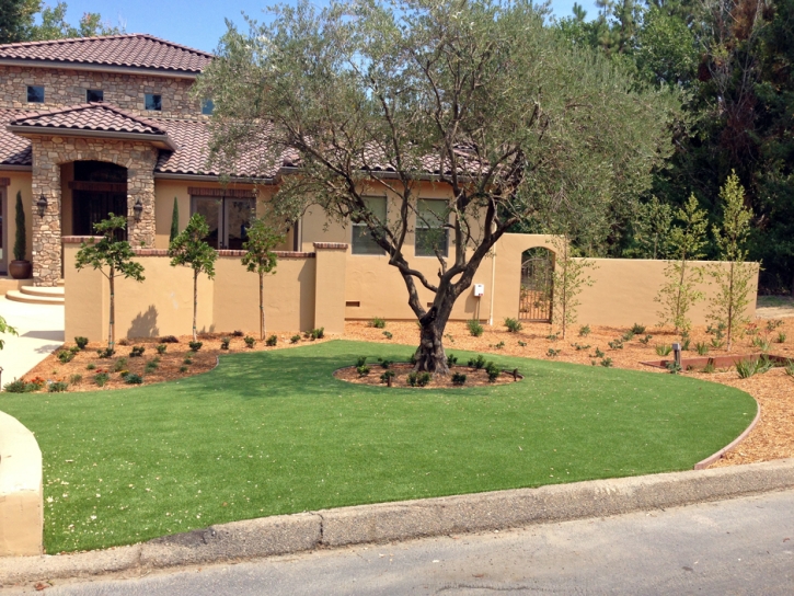 Artificial Grass Carpet Ajo, Arizona Landscaping, Front Yard Ideas