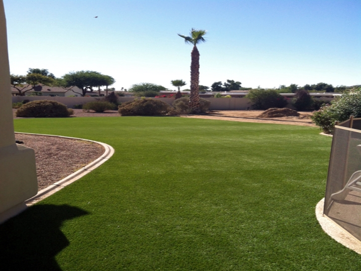 Artificial Grass Carpet Ak Chin, Arizona Design Ideas, Backyard Ideas