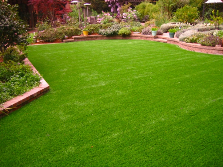 Artificial Grass Carpet Elfrida, Arizona Lawn And Landscape, Backyard