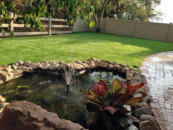 Artificial Grass Carpet Fort Thomas, Arizona Landscape Ideas, Kids Swimming Pools