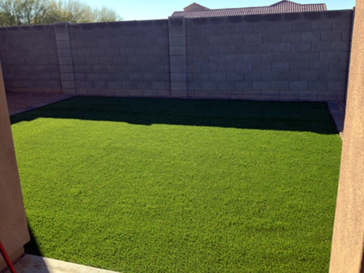 Artificial Grass Carpet McNeal, Arizona Garden Ideas, Backyard Landscaping Ideas