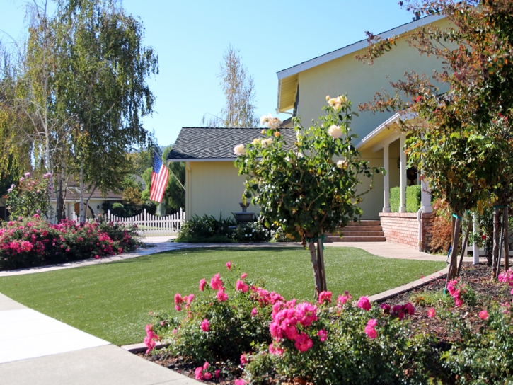 Artificial Grass Carpet Rio Verde, Arizona Gardeners, Small Front Yard Landscaping