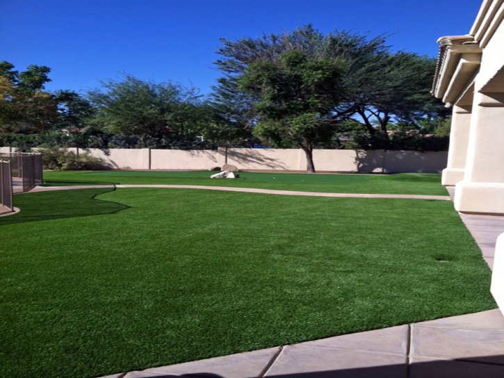 Artificial Grass Carpet Santa Cruz, Arizona Roof Top, Front Yard Landscaping Ideas