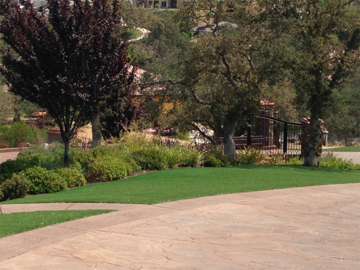 Artificial Grass Carpet Washington Park, Arizona Backyard Deck Ideas, Beautiful Backyards