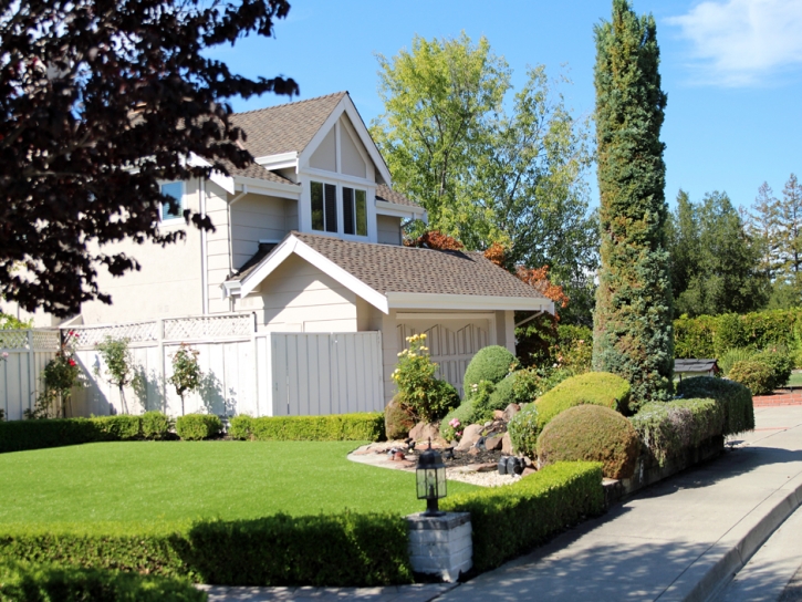 Artificial Grass Installation Scottsdale, Arizona Home And Garden, Front Yard Design